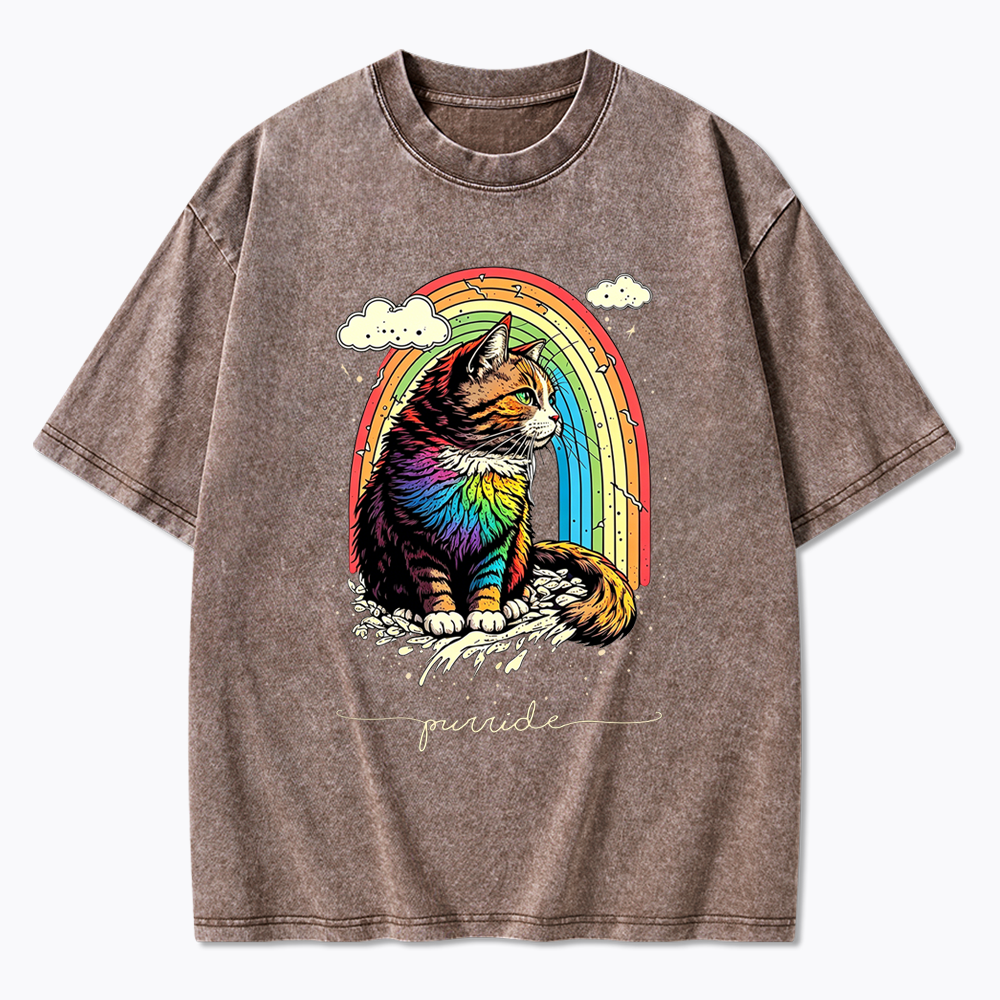 Cat Rainbow Washed T-Shirt