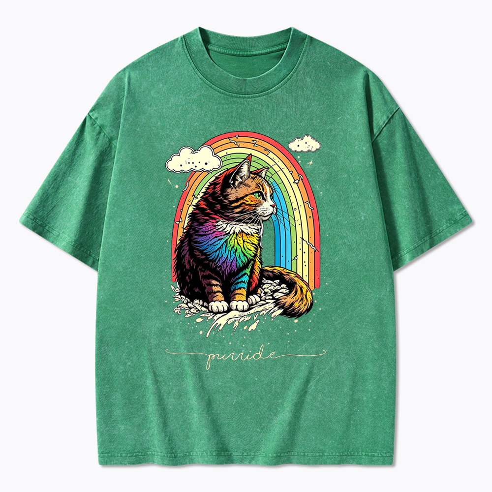 Cat Rainbow Washed T-Shirt