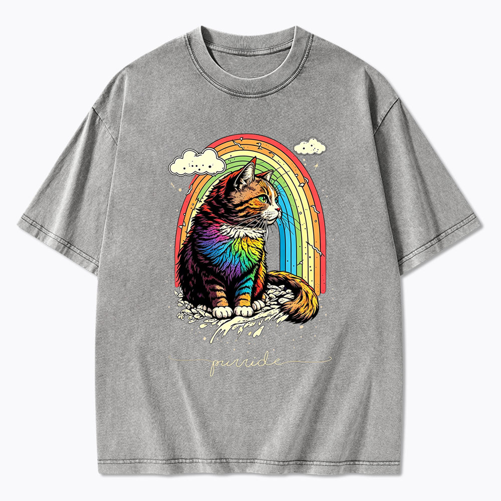 Cat Rainbow Washed T-Shirt
