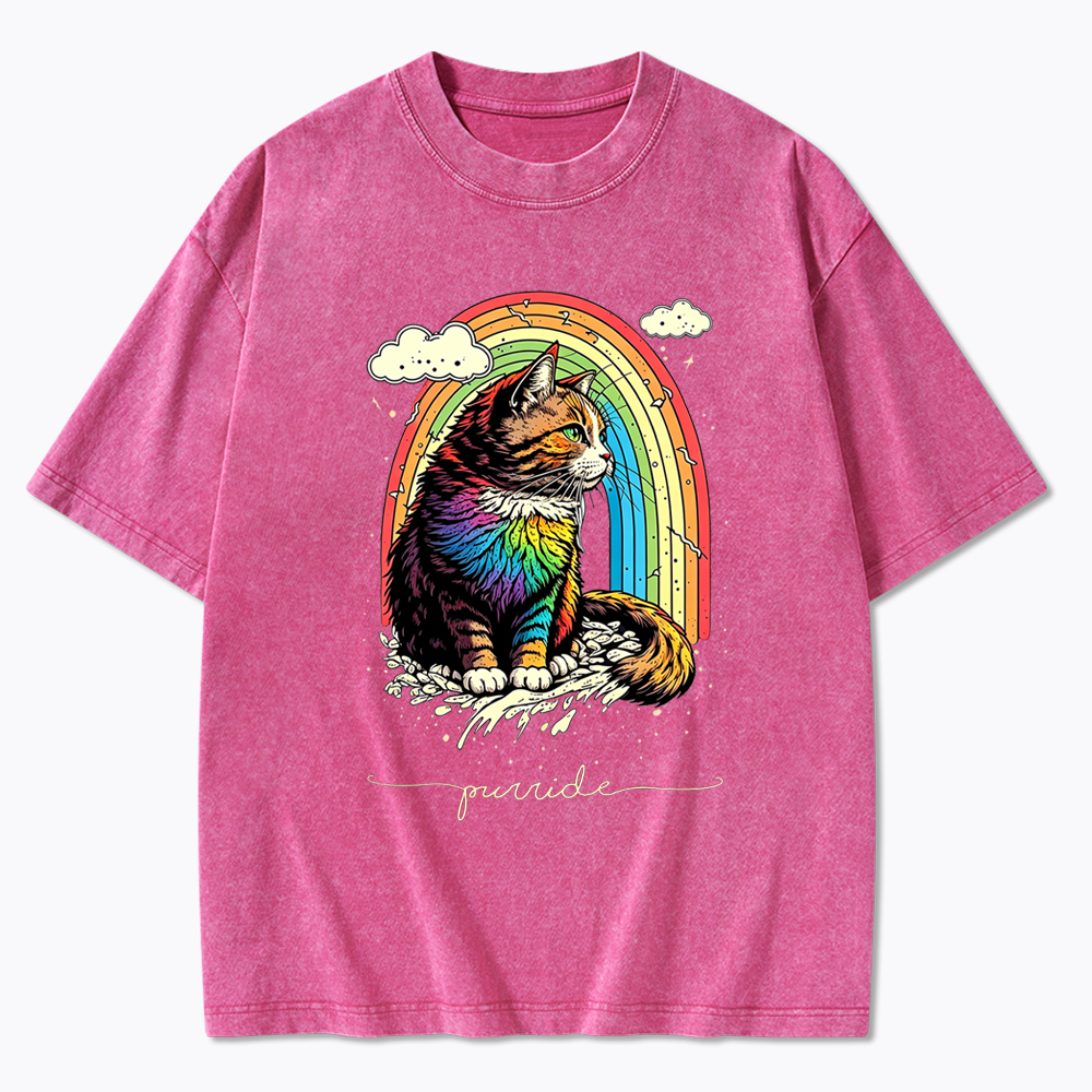 Cat Rainbow Washed T-Shirt