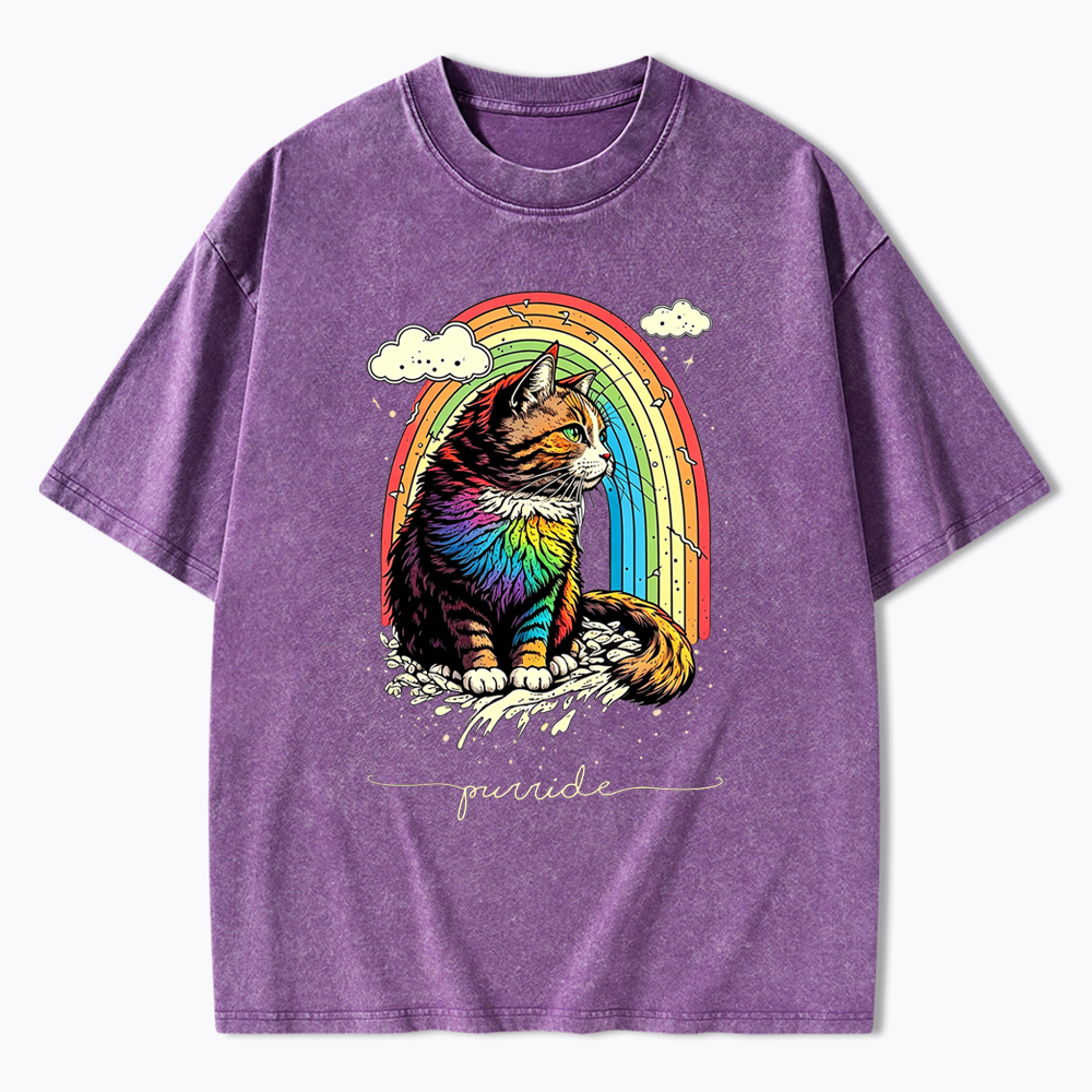 Cat Rainbow Washed T-Shirt