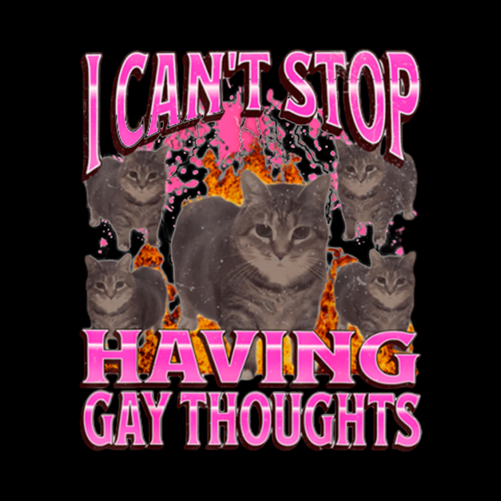 Can't Stop Having Gay Thoughts Funny Cat Meme Washed T-Shirt