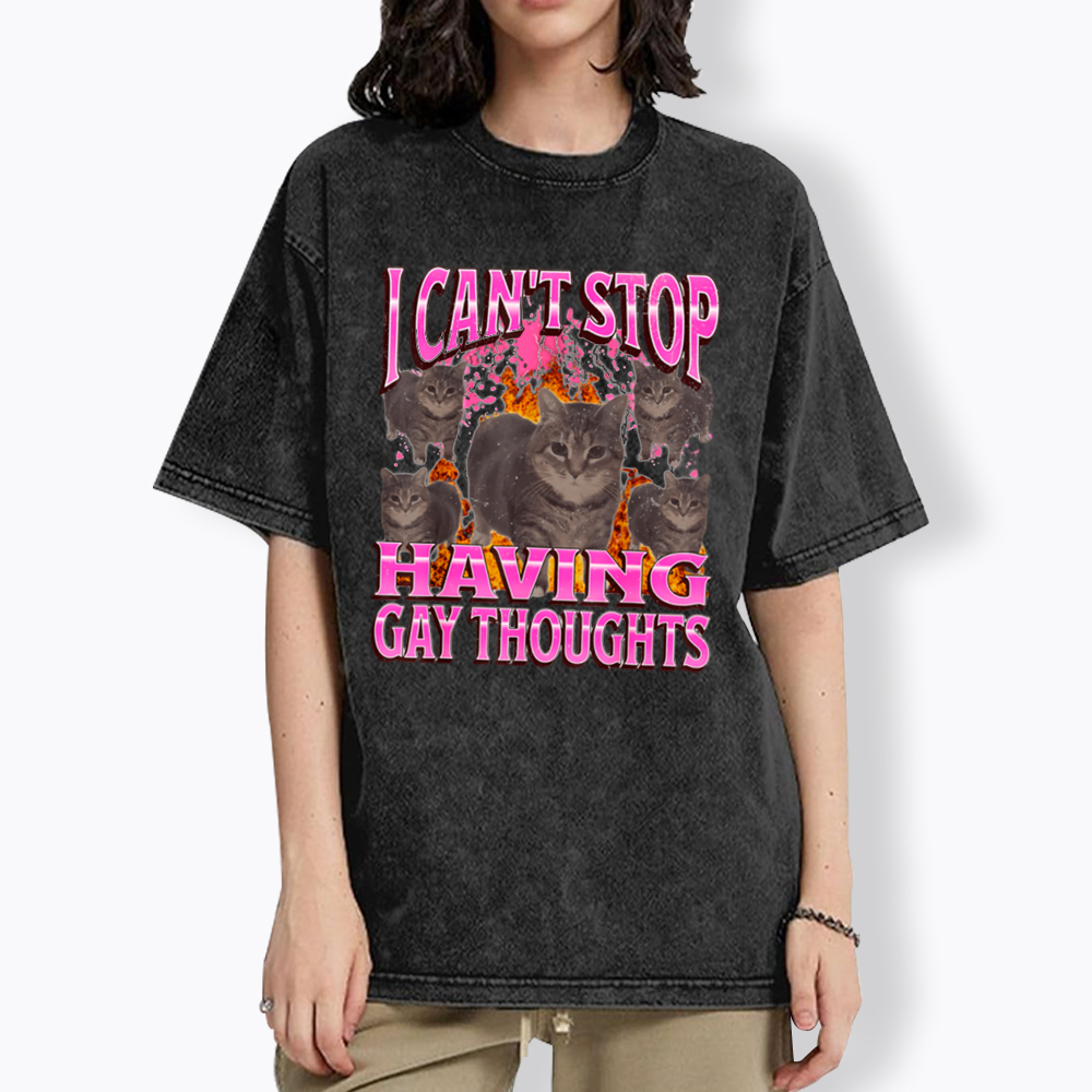 Can't Stop Having Gay Thoughts Funny Cat Meme Washed T-Shirt