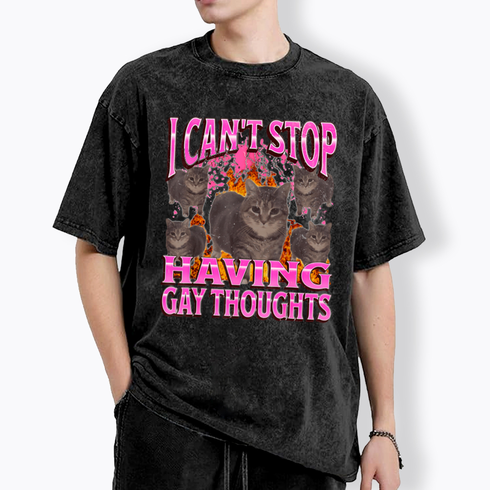 Can't Stop Having Gay Thoughts Funny Cat Meme Washed T-Shirt