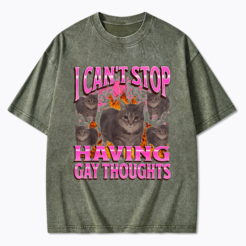 Can't Stop Having Gay Thoughts Funny Cat Meme Washed T-Shirt