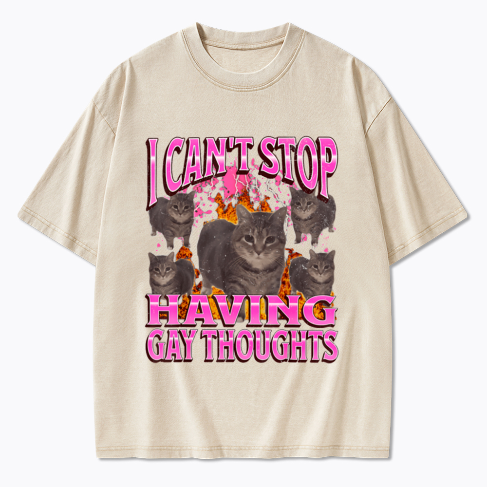 Can't Stop Having Gay Thoughts Funny Cat Meme Washed T-Shirt