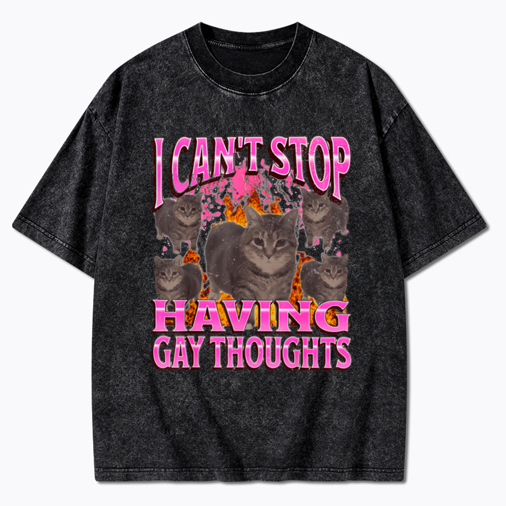 Can't Stop Having Gay Thoughts Funny Cat Meme Washed T-Shirt