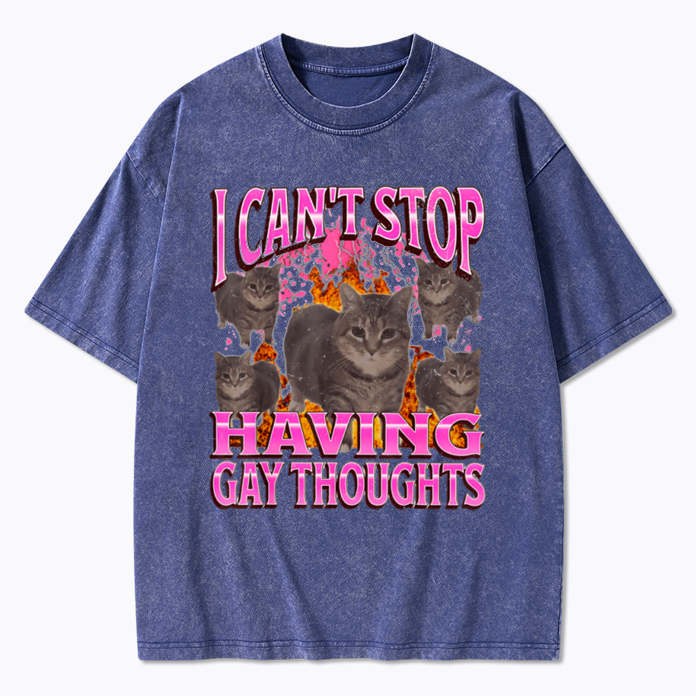Can't Stop Having Gay Thoughts Funny Cat Meme Washed T-Shirt
