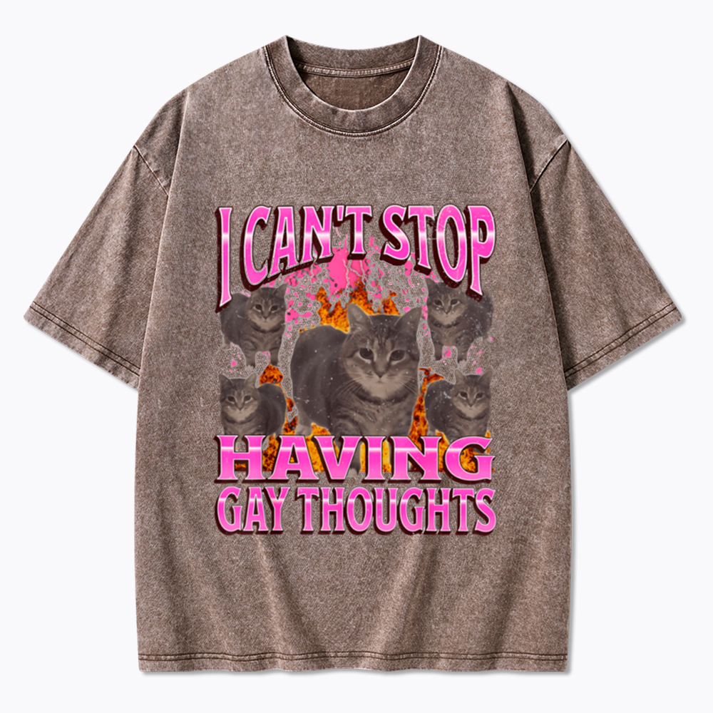 Can't Stop Having Gay Thoughts Funny Cat Meme Washed T-Shirt