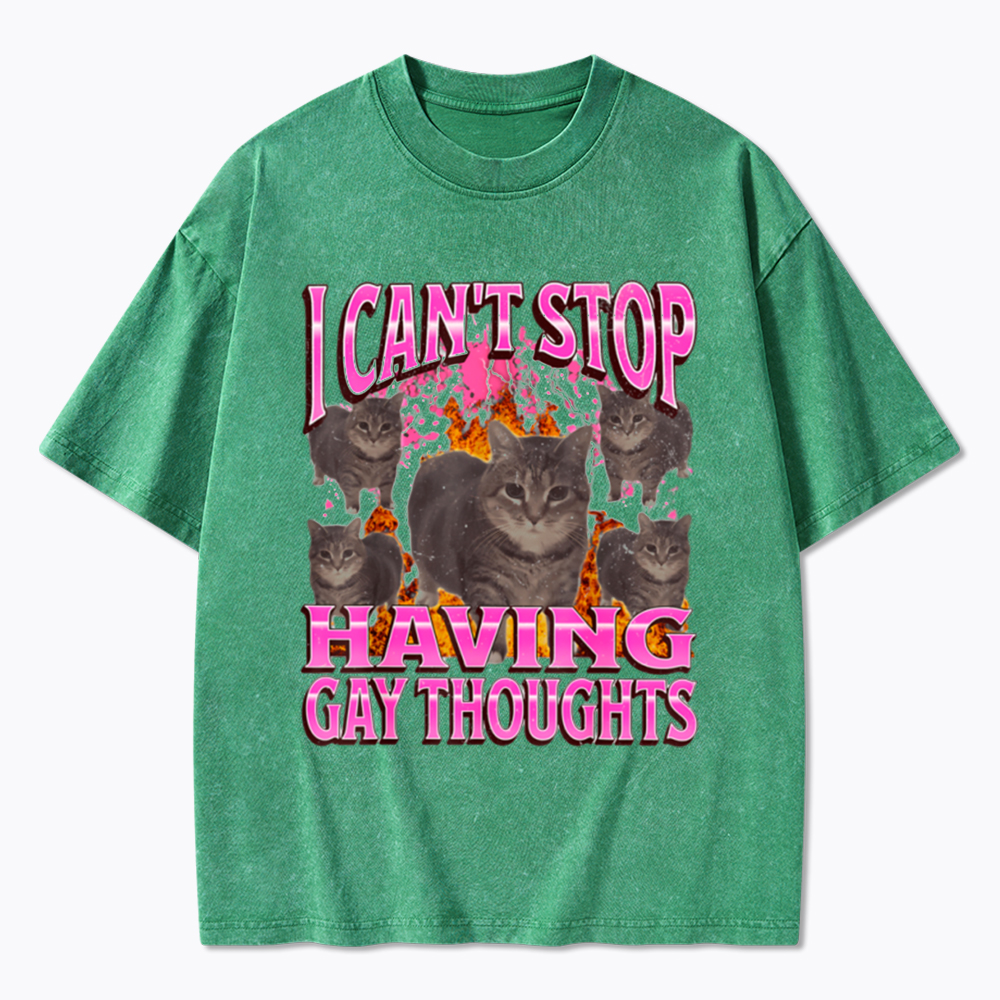 Can't Stop Having Gay Thoughts Funny Cat Meme Washed T-Shirt