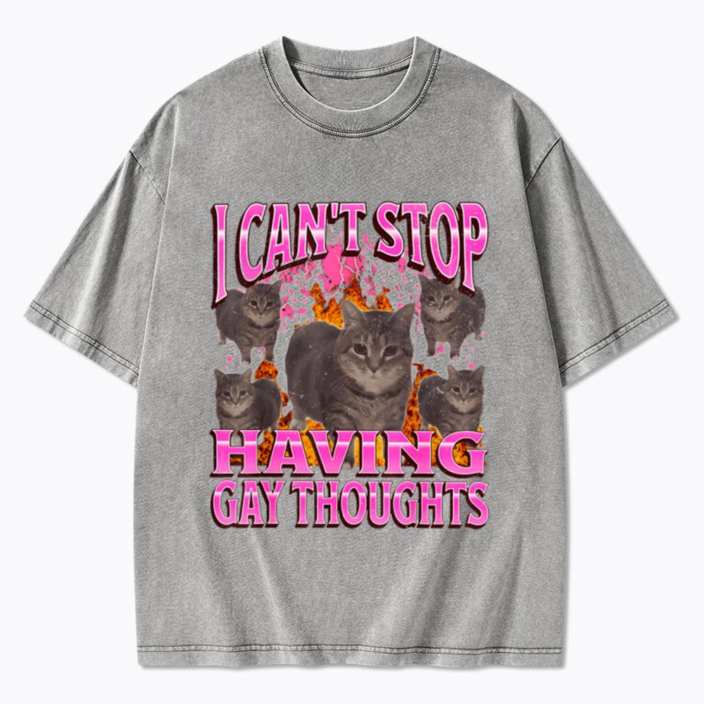 Can't Stop Having Gay Thoughts Funny Cat Meme Washed T-Shirt