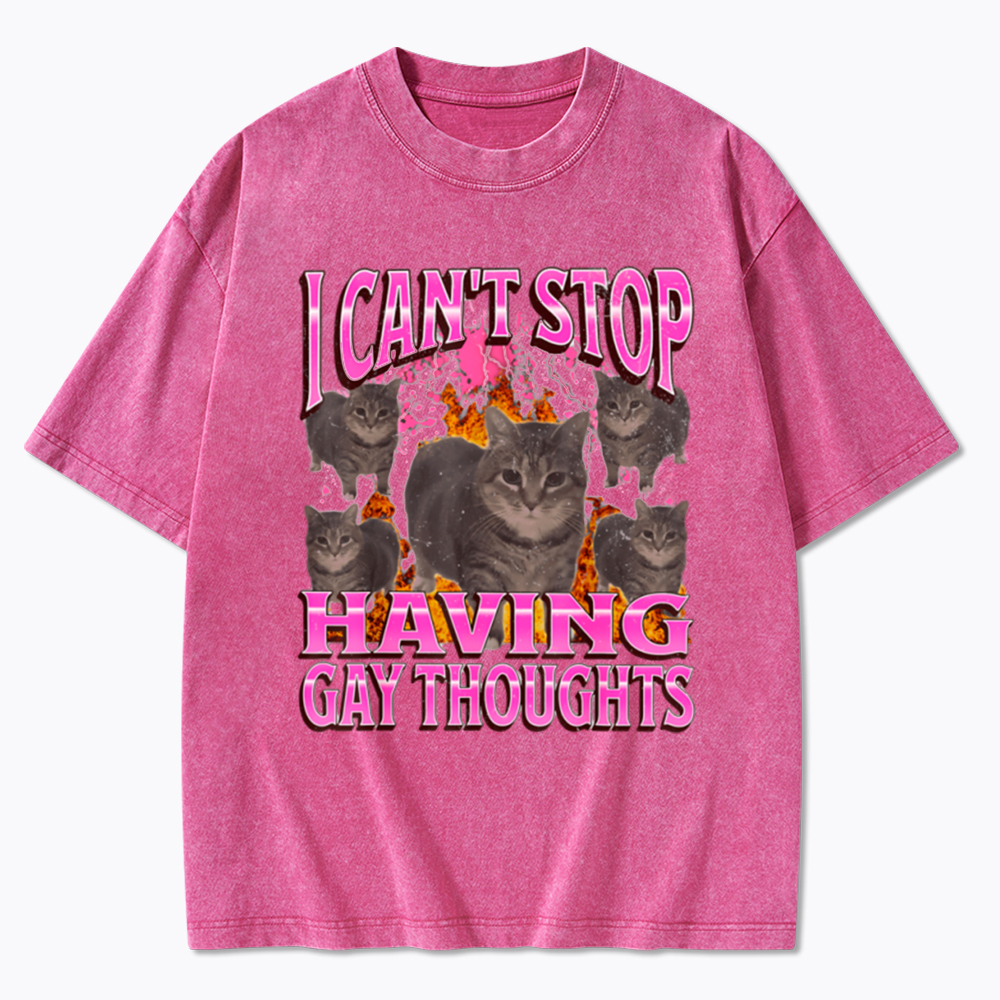 Can't Stop Having Gay Thoughts Funny Cat Meme Washed T-Shirt