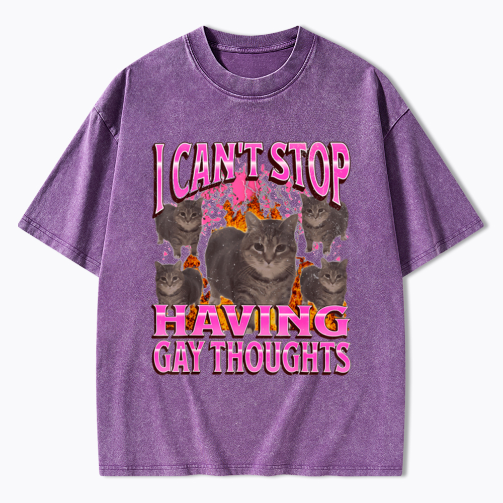 Can't Stop Having Gay Thoughts Funny Cat Meme Washed T-Shirt