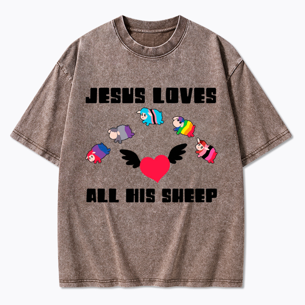 Jesus Loves All Sheep Pride Washed T-Shirt