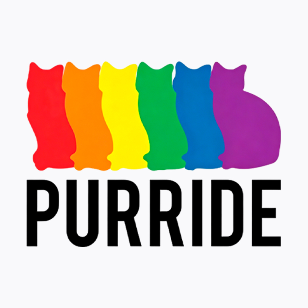 Purride Cat Rainbow Pride Washed T-Shirt