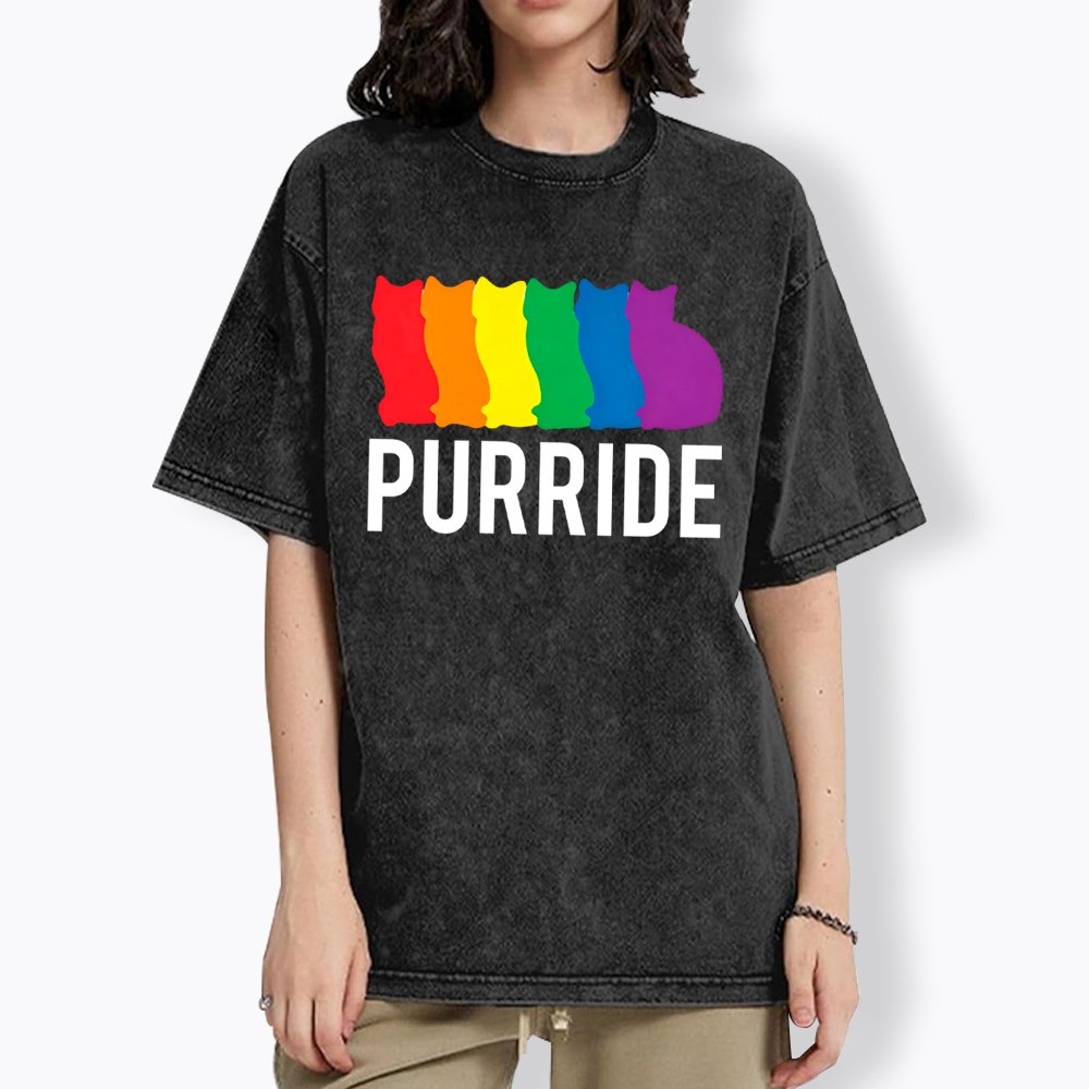 Purride Cat Rainbow Pride Washed T-Shirt