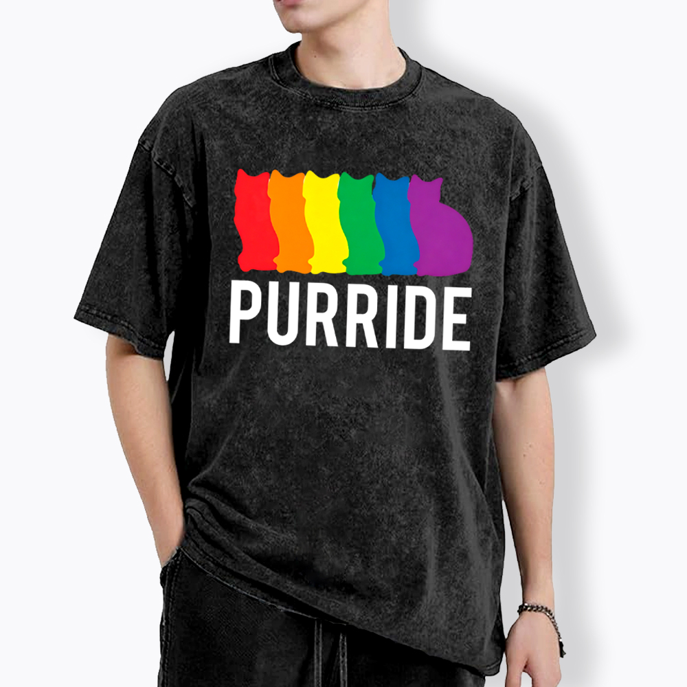Purride Cat Rainbow Pride Washed T-Shirt