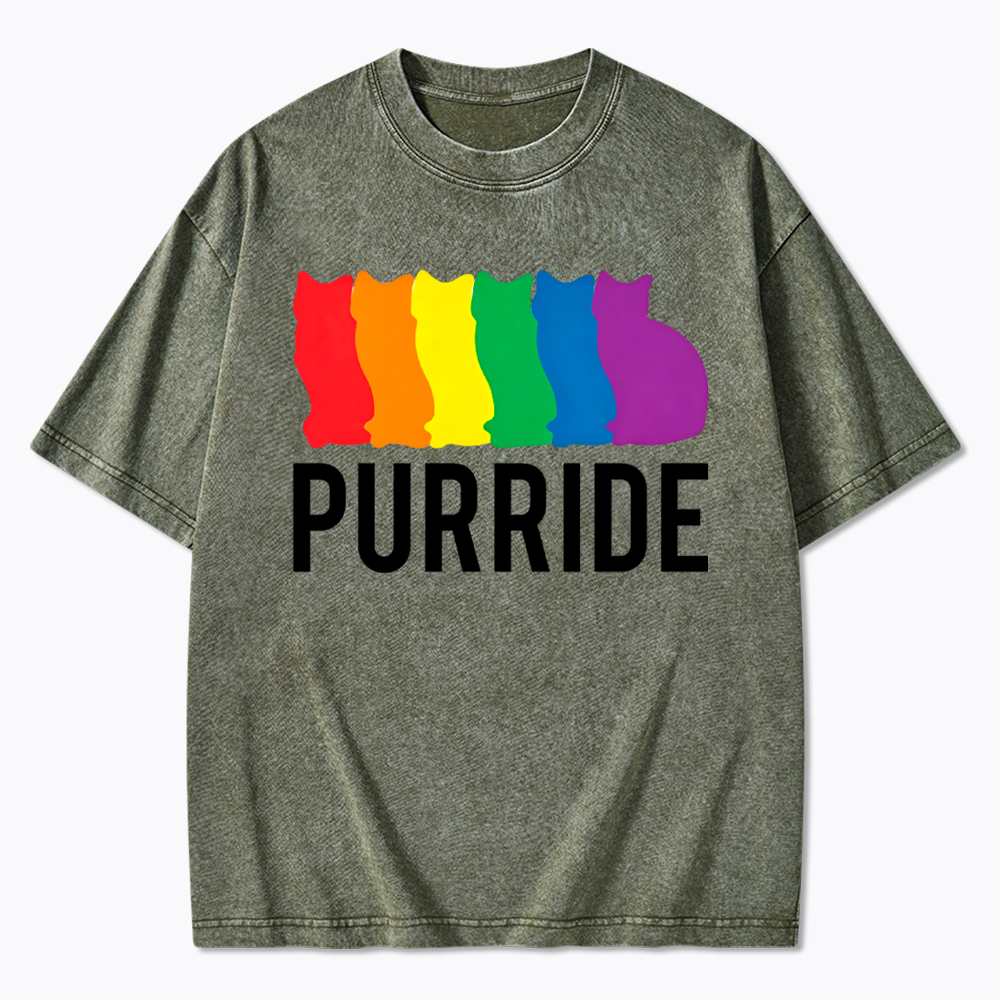 Purride Cat Rainbow Pride Washed T-Shirt