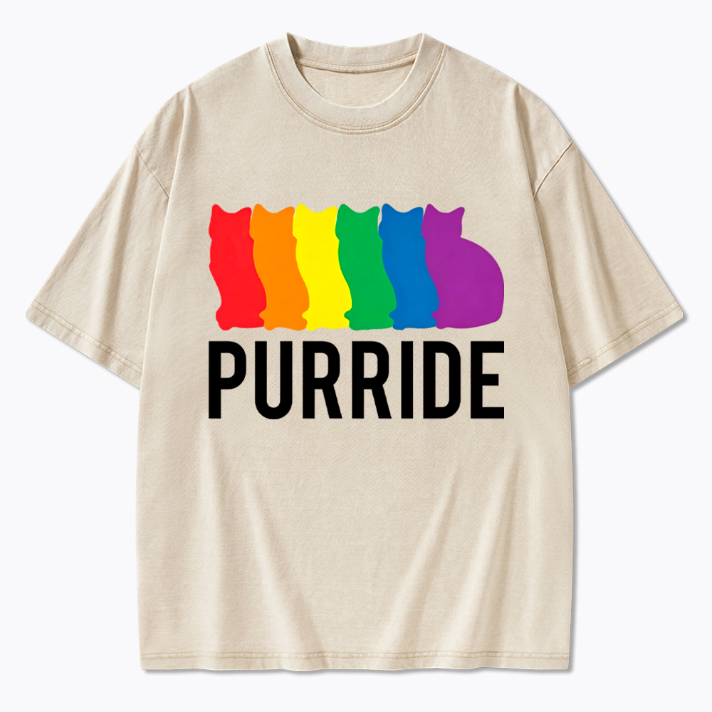 Purride Cat Rainbow Pride Washed T-Shirt