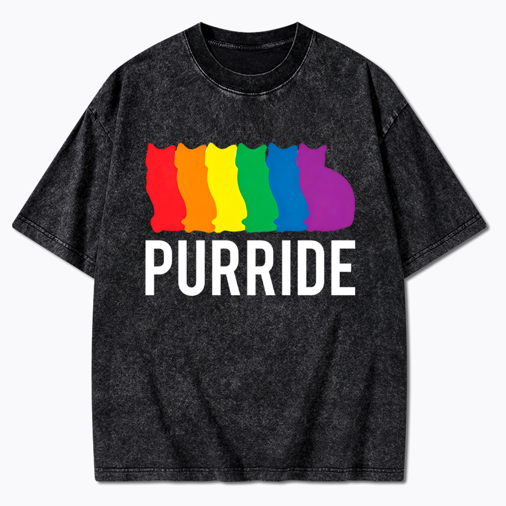 Purride Cat Rainbow Pride Washed T-Shirt