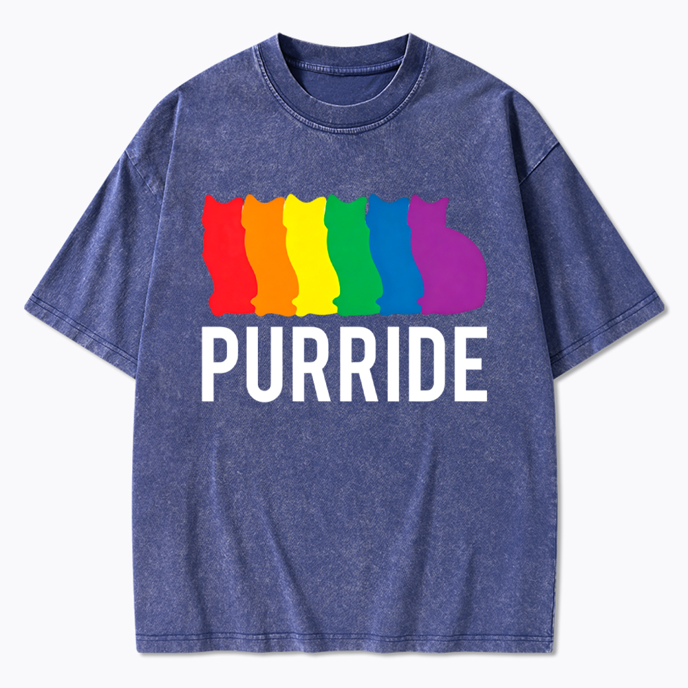 Purride Cat Rainbow Pride Washed T-Shirt