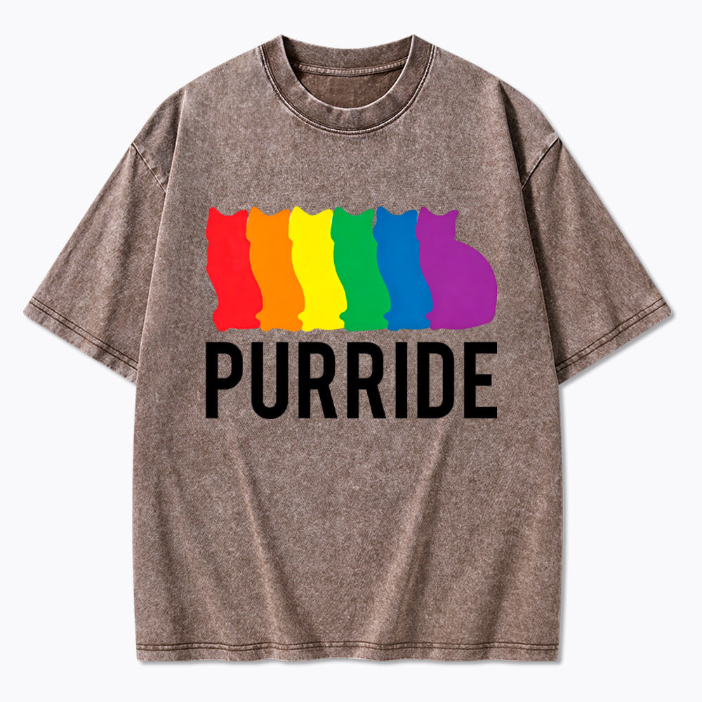 Purride Cat Rainbow Pride Washed T-Shirt