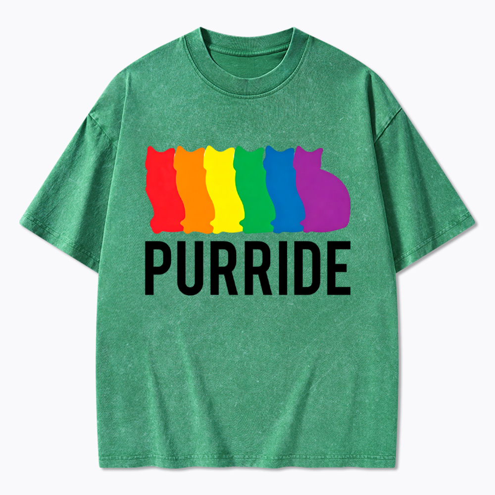 Purride Cat Rainbow Pride Washed T-Shirt