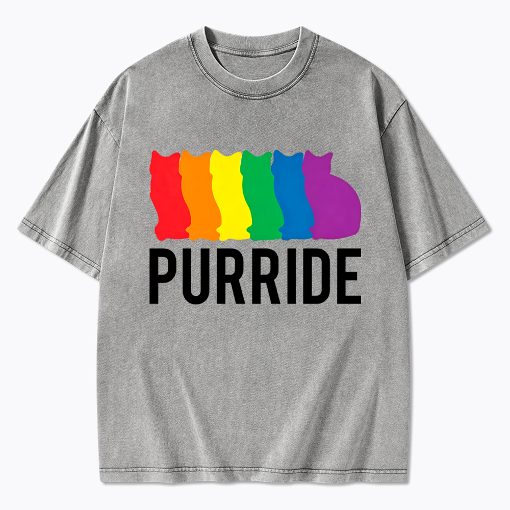 Purride Cat Rainbow Pride Washed T-Shirt