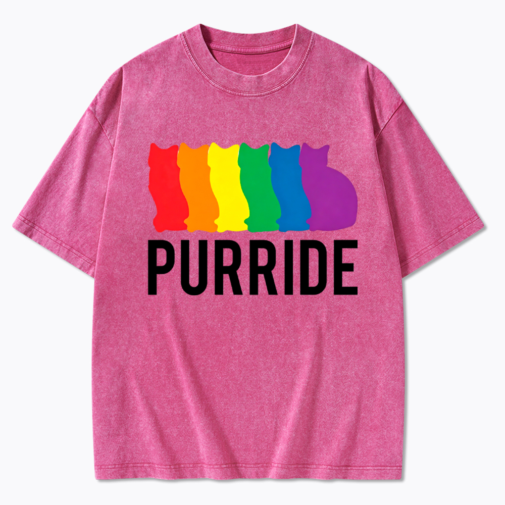 Purride Cat Rainbow Pride Washed T-Shirt