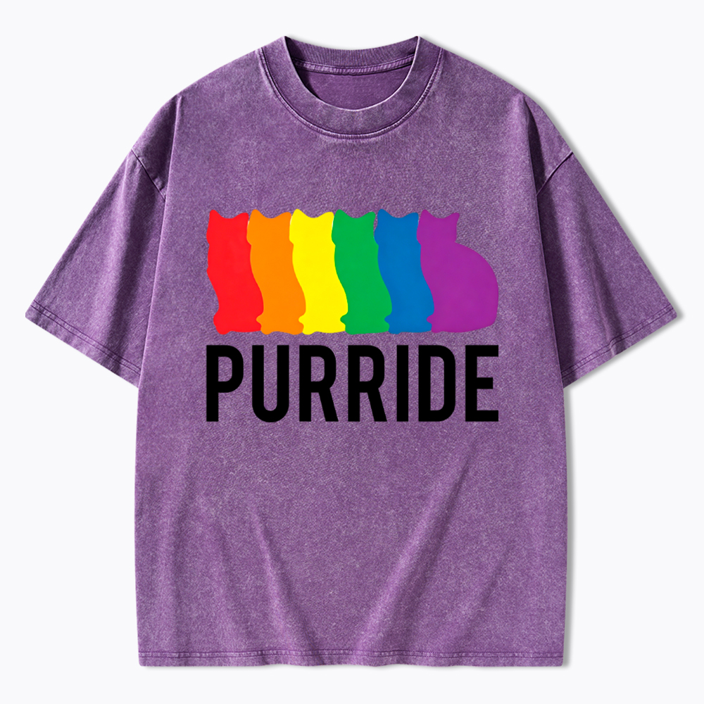 Purride Cat Rainbow Pride Washed T-Shirt