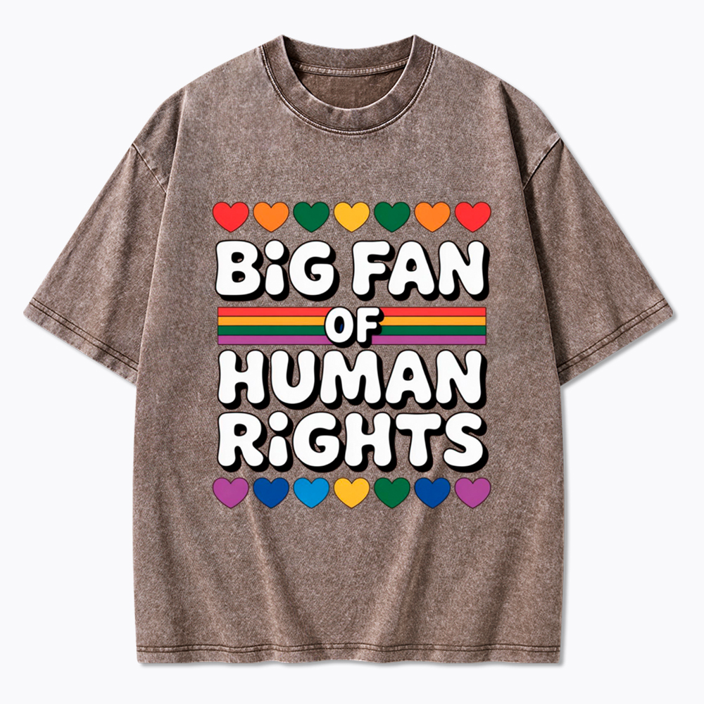 Big Fan Of Human Rights Equality Washed T-Shirt