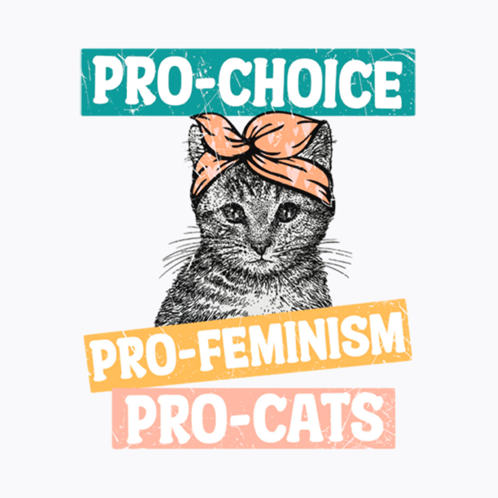 Pro Choice Pro Cats Feminism Washed T-Shirt