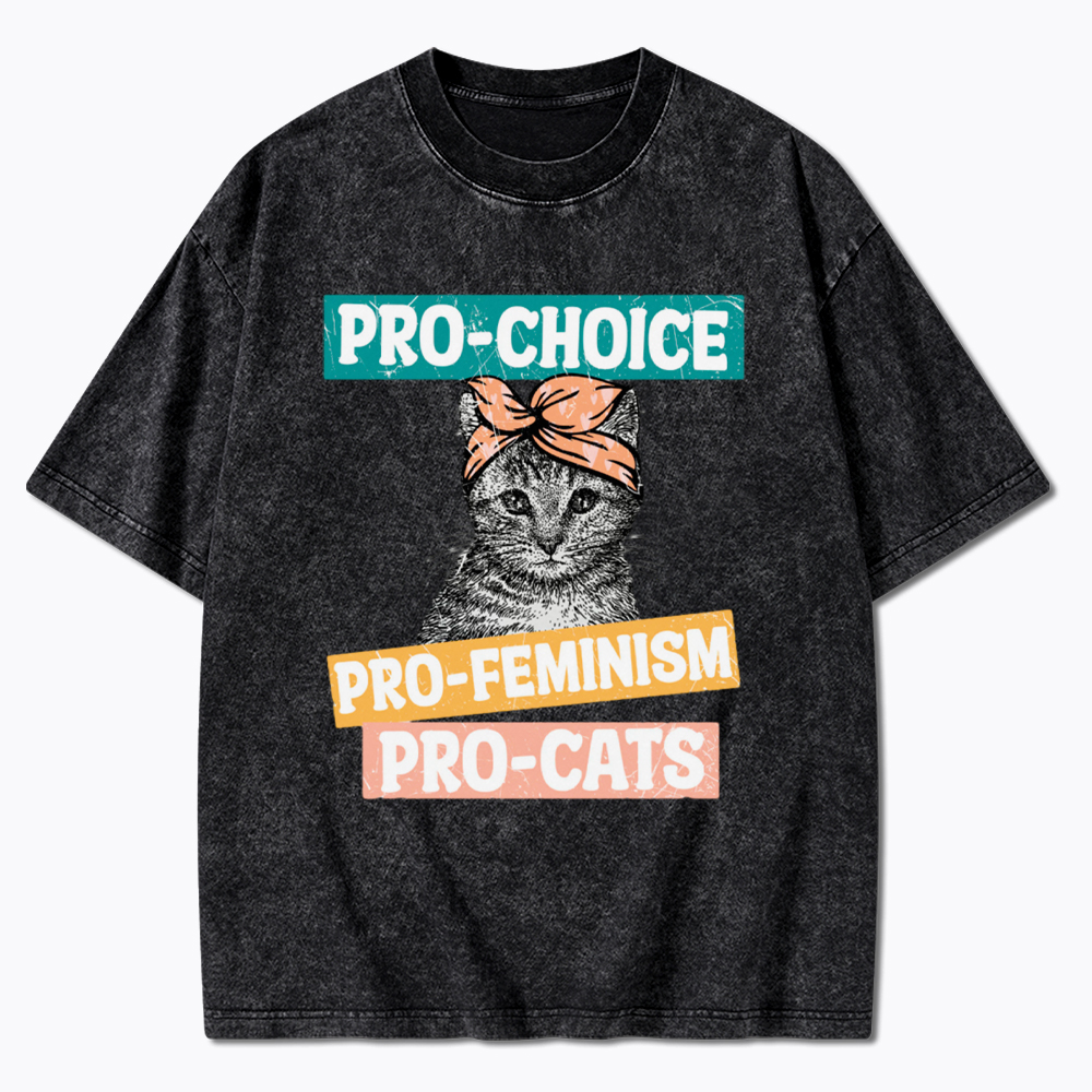 Pro Choice Pro Cats Feminism Washed T-Shirt