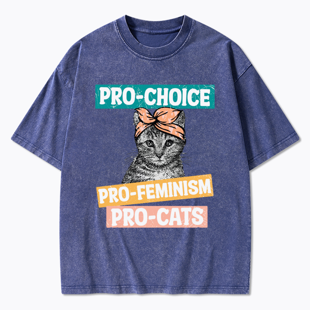 Pro Choice Pro Cats Feminism Washed T-Shirt