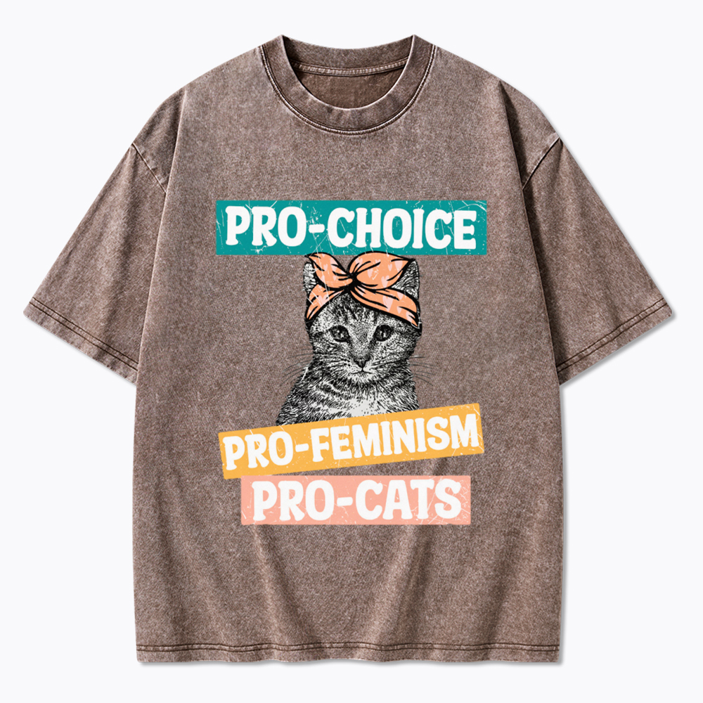 Pro Choice Pro Cats Feminism Washed T-Shirt