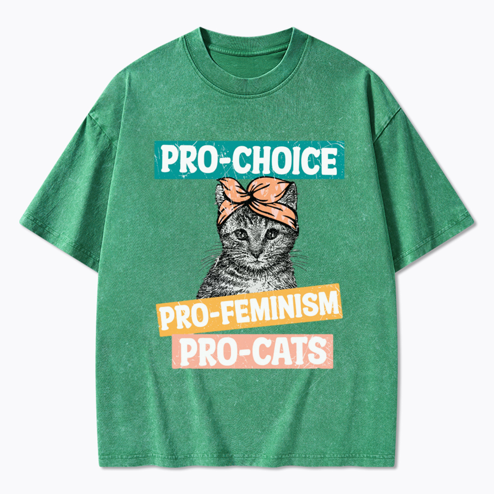 Pro Choice Pro Cats Feminism Washed T-Shirt