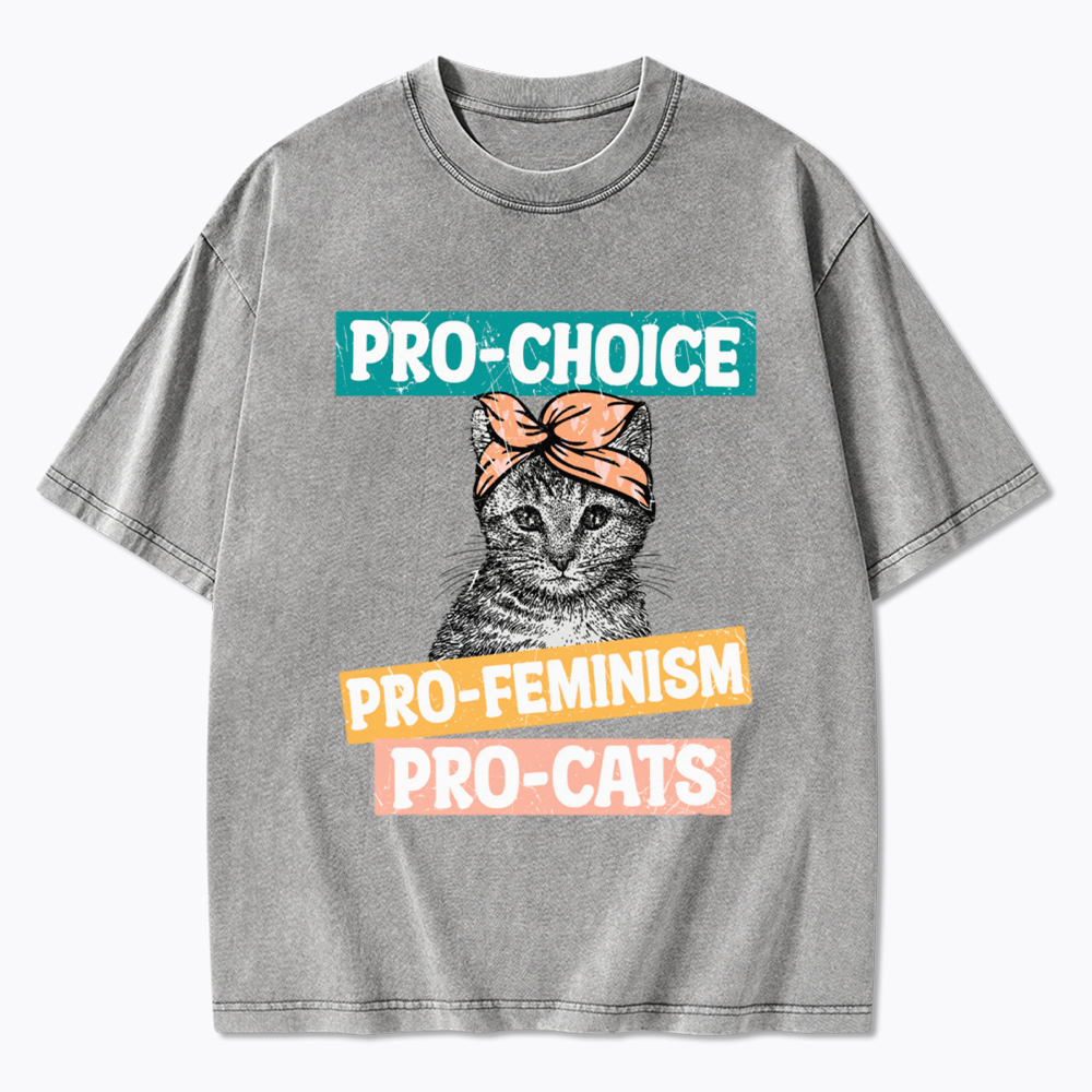 Pro Choice Pro Cats Feminism Washed T-Shirt