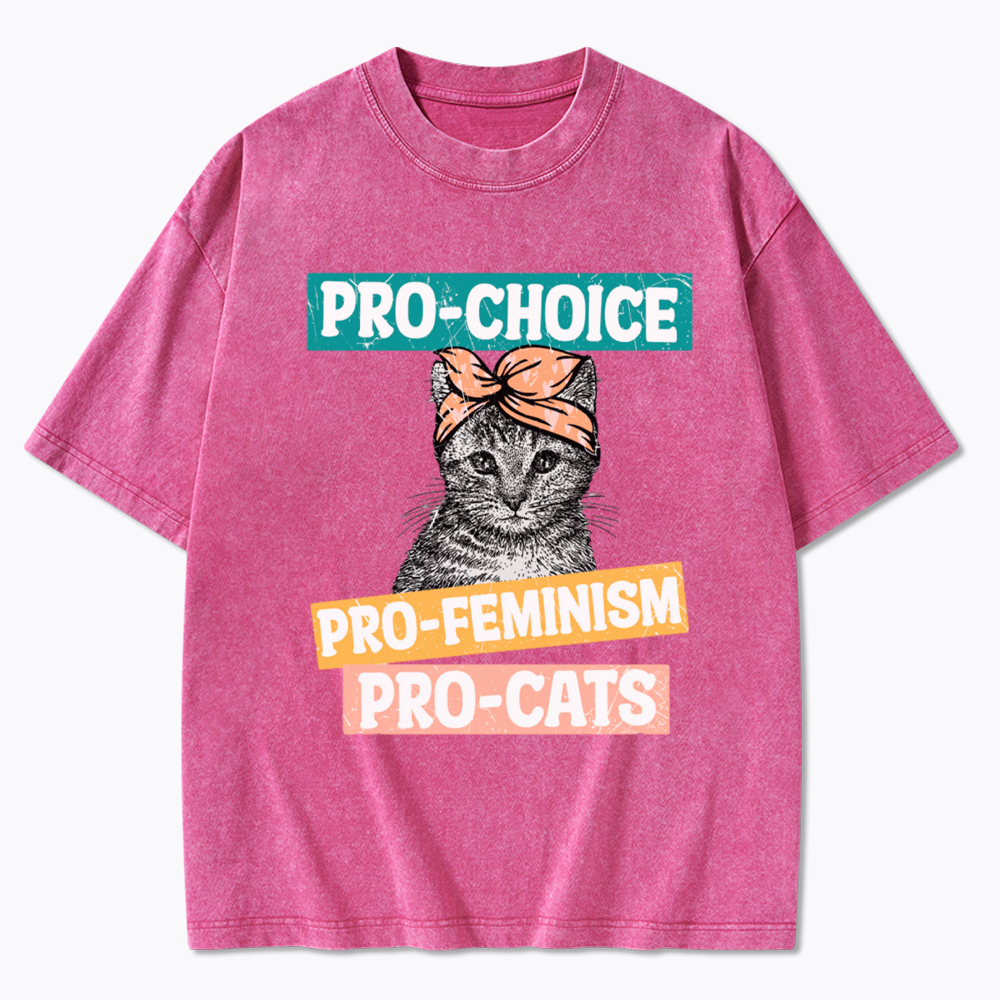 Pro Choice Pro Cats Feminism Washed T-Shirt