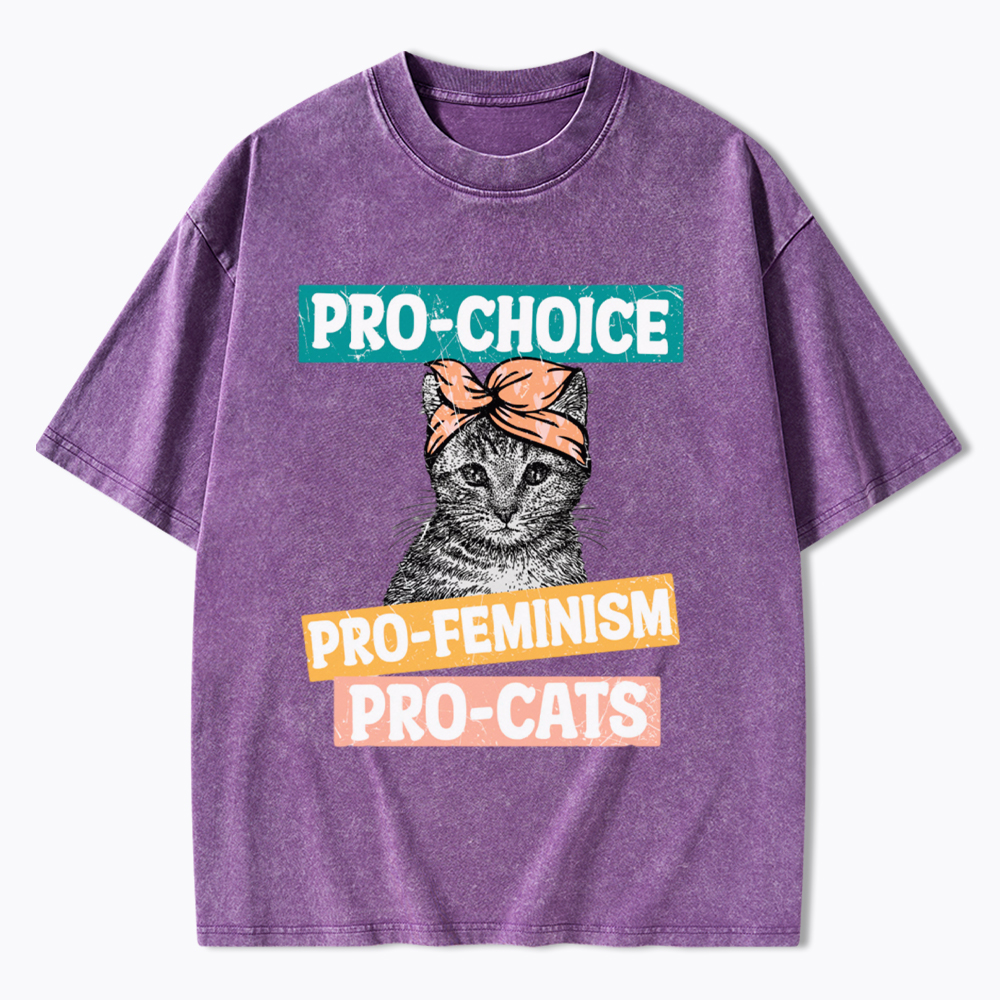 Pro Choice Pro Cats Feminism Washed T-Shirt