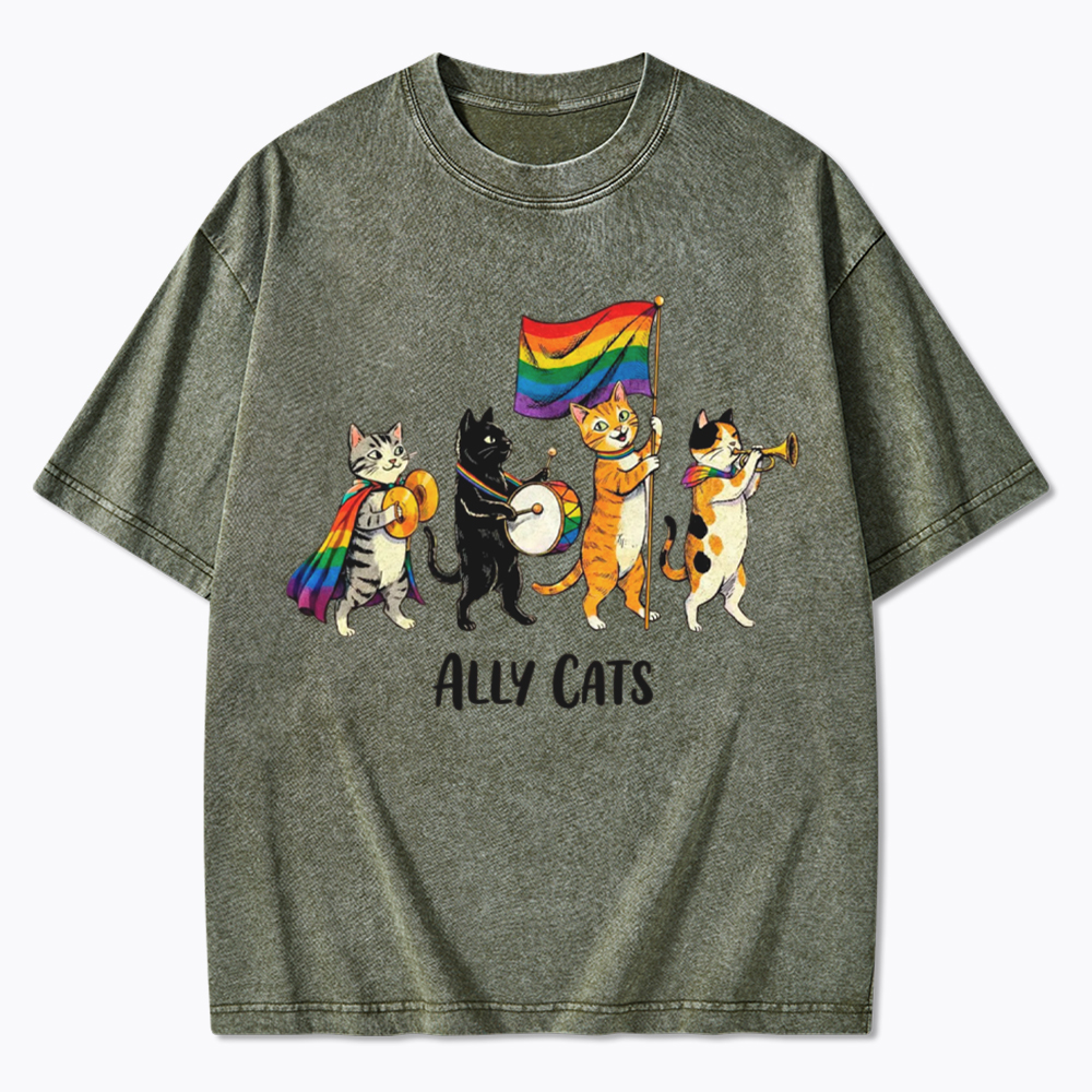 Ally Cats LGBTQ Rainbow Flag Parade Queer Washed T-Shirt