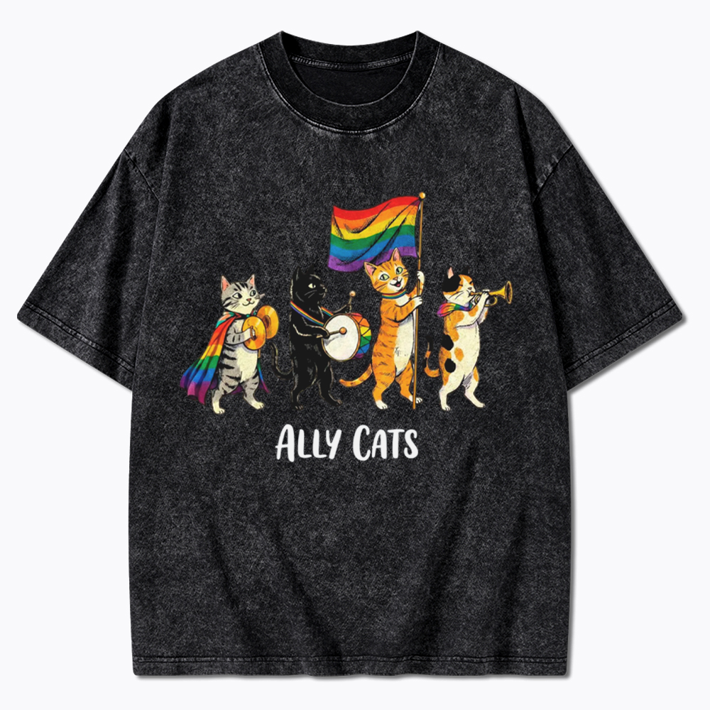 Ally Cats LGBTQ Rainbow Flag Parade Queer Washed T-Shirt