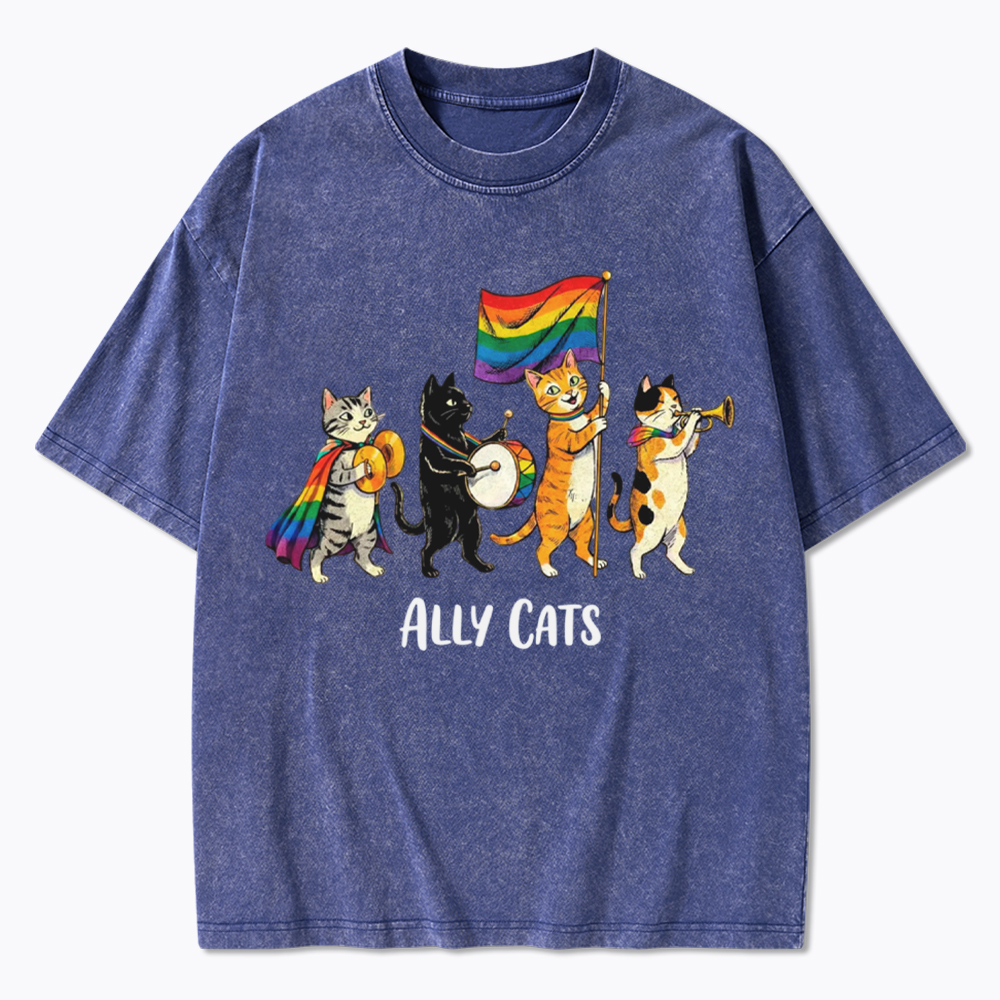 Ally Cats LGBTQ Rainbow Flag Parade Queer Washed T-Shirt