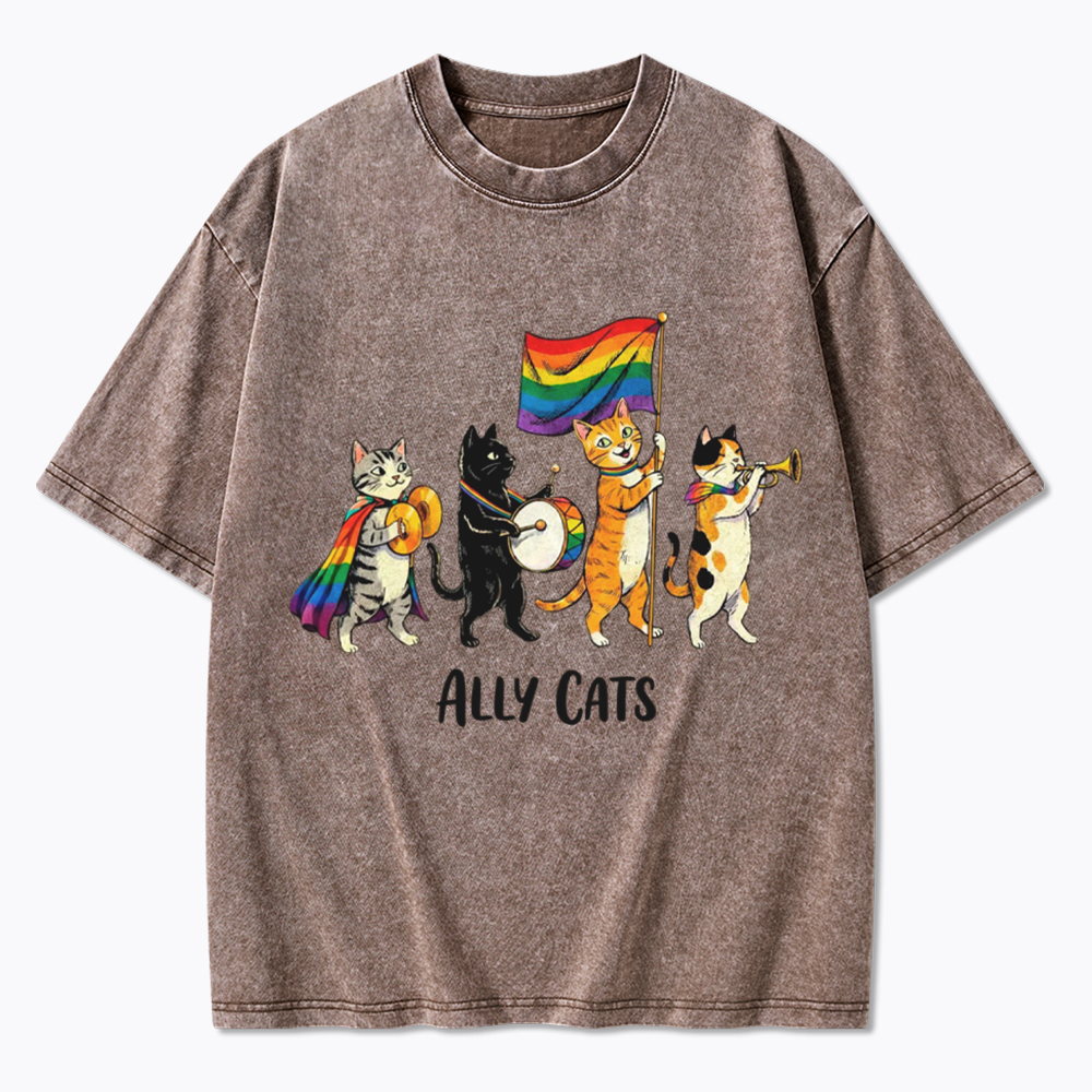 Ally Cats LGBTQ Rainbow Flag Parade Queer Washed T-Shirt