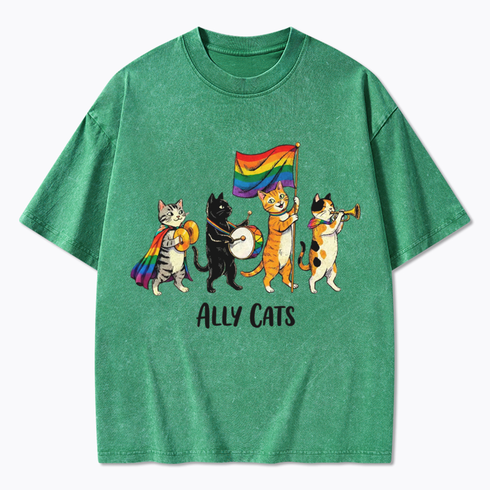 Ally Cats LGBTQ Rainbow Flag Parade Queer Washed T-Shirt