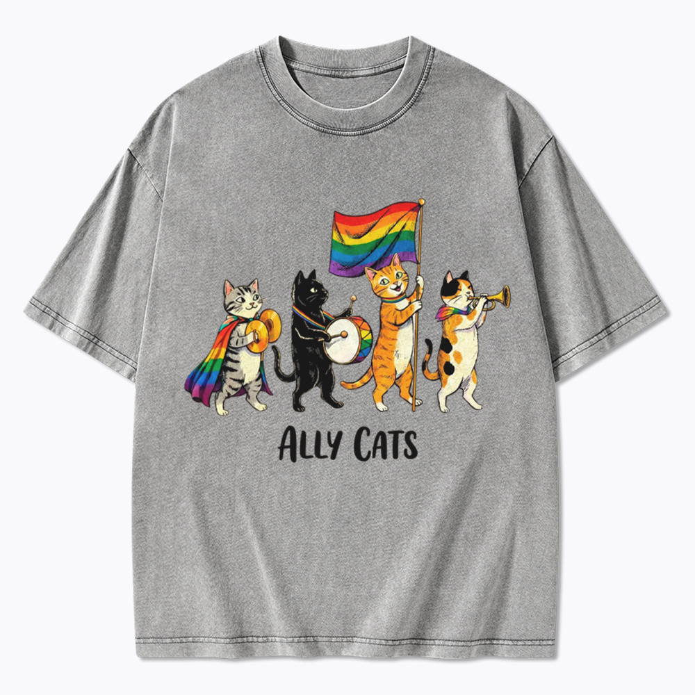 Ally Cats LGBTQ Rainbow Flag Parade Queer Washed T-Shirt