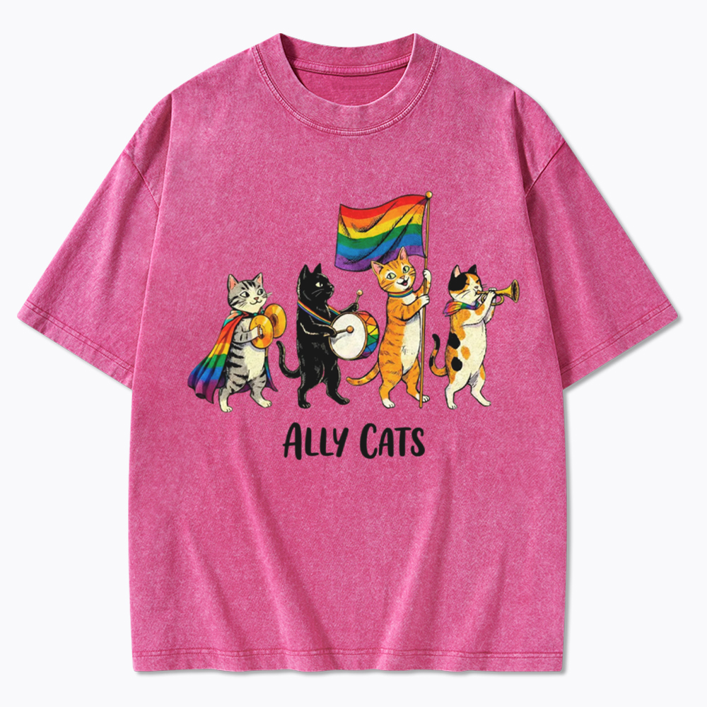 Ally Cats LGBTQ Rainbow Flag Parade Queer Washed T-Shirt