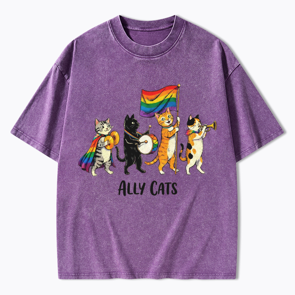 Ally Cats LGBTQ Rainbow Flag Parade Queer Washed T-Shirt