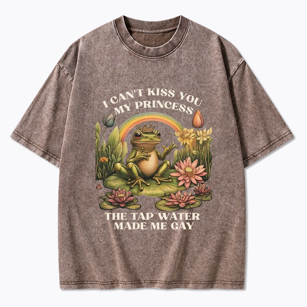 I Can't Kiss You My Princess, The Tap Water Made Me Gay Washed T-Shirt