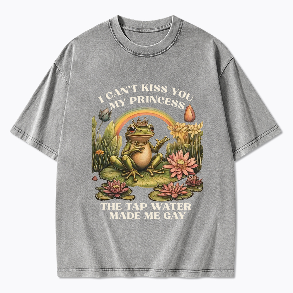 I Can't Kiss You My Princess, The Tap Water Made Me Gay Washed T-Shirt