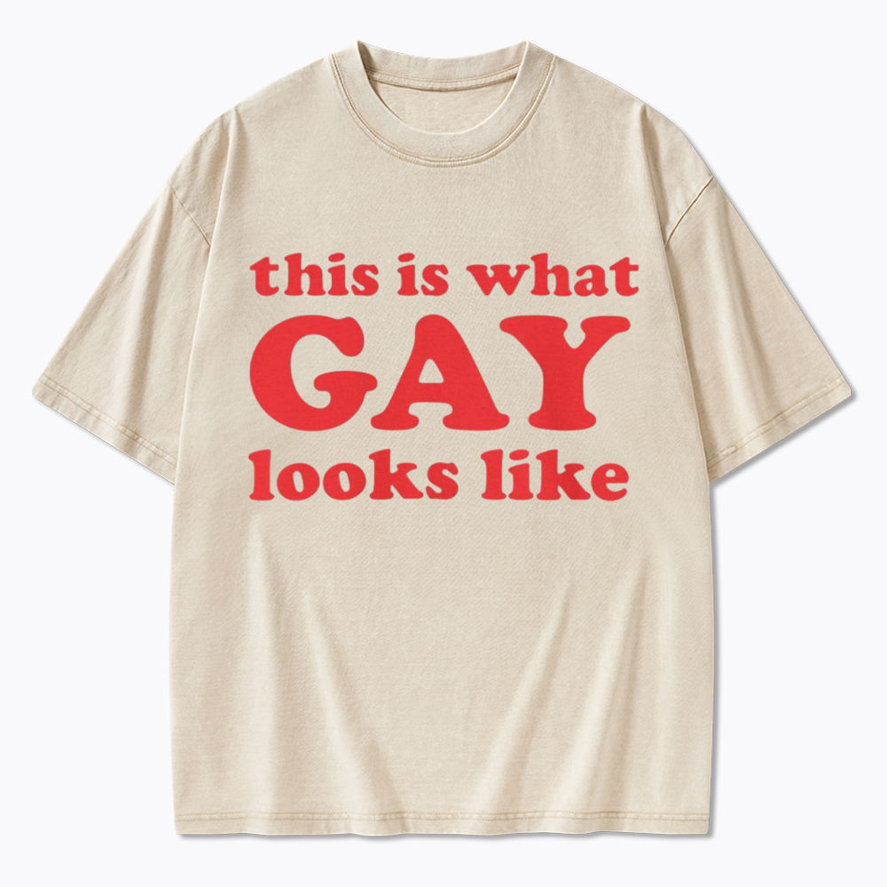 This Is What Gay Looks Like Washed T-Shirt